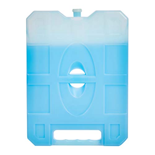 image for Amazon Basics Reusable Hard Sided Rectangular Ice Pack, Pack of 4, Lar