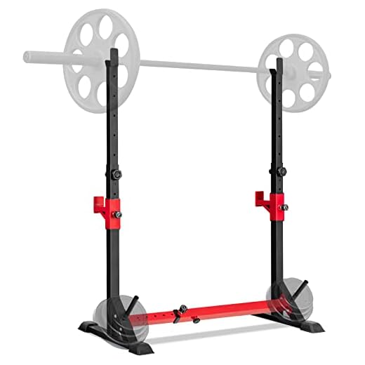 Goplus Adjustable Barbell Rack Stand, Multi-function Squat Rack Dip Station w/Weight Plates Storage, Bench Press Stand Fitness Equipment for Home Gym Workout Weight Lifting, 600LBS+600LBS Max Load