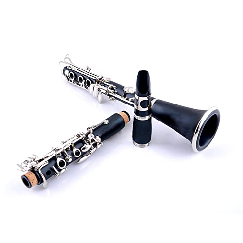 Falling Tune B Ag Nlbg y  ؐ jbP {^ Nlbg Sҗp O[fBO eXg Nlbg SҌ