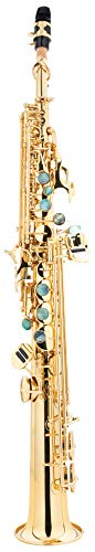 Lechgold LSS-20L Sopran-Saxophon gerade - aus lackiertem Messing - Kräftiger runder Klang - Inklusive ESM Mundstück aus deutscher Fertigung und Leichtkoffer mit Rucksack-Garnitur - lackiert