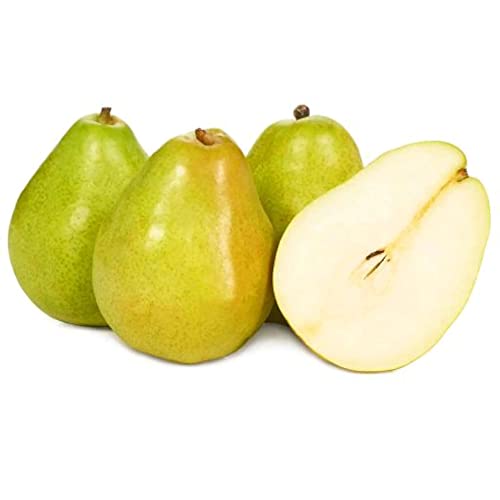 Qauzuy Garden 25 European Pear Tree Seeds, Pyrus Communis - Heirloom Organic Fruit Seeds - Delicious Sweet Juicy Fruit For Planting Garden Outdoor #TOP25