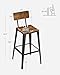VASAGLE Set of 2 Bar Stools, Bar Height Stools, 29.1 Inches Tall Barstools with Back, Counter Bar Chairs for Kitchen Island, Steel Frame, Industrial Style, Easy Assembly, Rustic Brown and Ink Black
