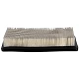 Premium Guard PA5396 Air Filter