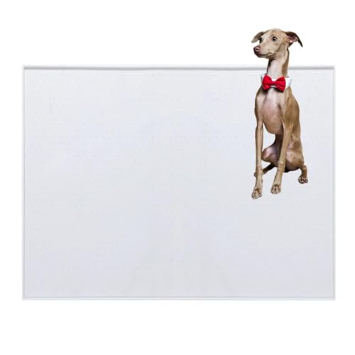 Lifetips C^AO[nEh gC}`FX^[eA ybggC}bg VR h ~ 􂦂  L V[gh~ g[p t[Oی ybggC}bg VR}bg ΍ gCV[gŒ h