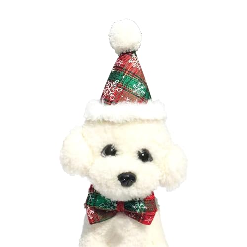 Aimondow ybgNX}XRX`[ߑZbgALƏ^p̃NX}XXqݒlN^C2Aybg^I悾ꂩ߉\ANX}XhbVOp[eB[ybglN^CXJ[t  L q qL