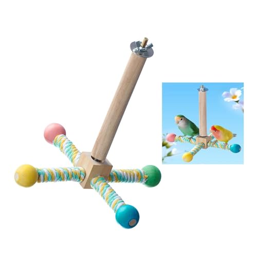 Jouet d'exercice pour perruches et conures actives - 4