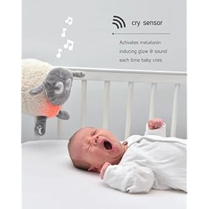 Sweet dreamers rechargeable ewan deluxe gray baby toddler white noise sound machine cry sensor nightlight 10 soothing sounds continuous or timer playback machine washable  urban country home decor