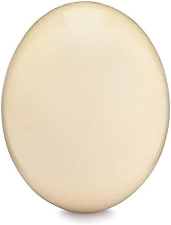 Premium Blank Ostrich Egg Shell for Crafts, Decoration, Painting - Blown Out & Cleaned, Ready for Crafting Projects & Decorating - Perfect for Display