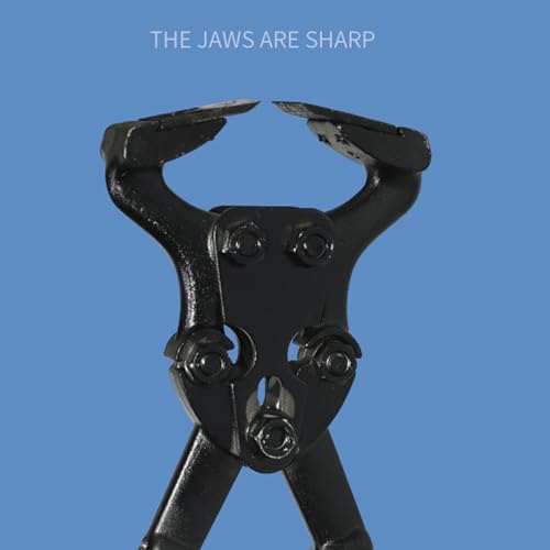 Cenas de cascos para cavalos, bengalas de casco,Ferramentas de corte de casco de de aço carbono | Di