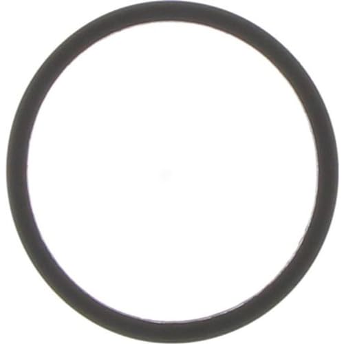 Dayco Thermostat Seal DTG45