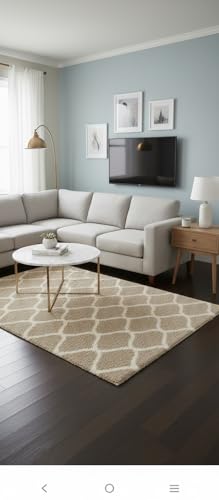 Image of Carpet for Hallway, Kitchen, and Modern InteriorsCarpetCozy Shag Runner for Living Room, Bedroom & Office Decor ETC Size 5x8 feet, Patten-Solid Beige B