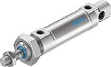 festo zylinder Zylinder Festo 19219 Schmetterlingsstrauch Buddleja dsnu-25–25-p-a Standard Zylinder
