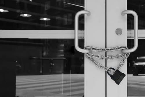 Divik Heavy Duty Waterproof Padlock with Key Outdoor Padlocks for Gate Lock, Office, Garden Gate, Gym or School Locker with Keys Small Outdoor Pad Lock (1Pcs) (55mm (with 4 Keys))