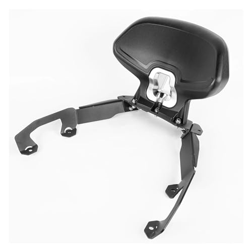Soutien dossier passager ergonomique et robuste pour Forza 350 2022