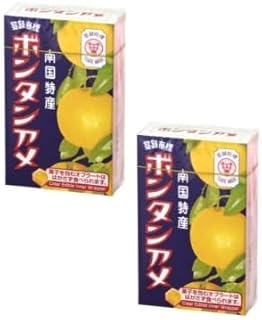 【2個セット】ボンタンアメ セイカ食品 10粒 2箱セット 伝統の甘酸っぱさ ボンタンオイル入り もちもち食感 長時間の映画のお供に 大正ロングセラー商品