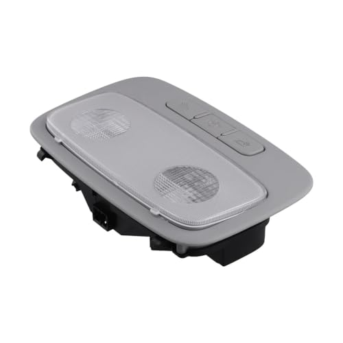 Consola lámpara techo Hyundai H1 i800 2007-2015 repuesto interior