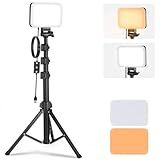 NEEWER BASICS LEDビデオライト 撮影用ライト 調光可能 二色温度 3200K-5600K 高演色性 CRI95 ポータブル スタンド2本&フィルター2枚付属 パネルライトキット 生放送/スタジオ/自撮り/動画撮影/商品写真/ライブ配信用 BP66