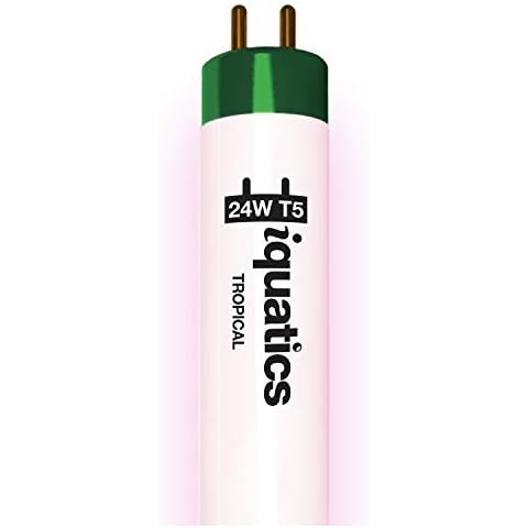iQuatics Juwel Compatible Aquarium Fluorescent Light Bulb T5 (Single), Tropical, 24w 438mm 18" Cover