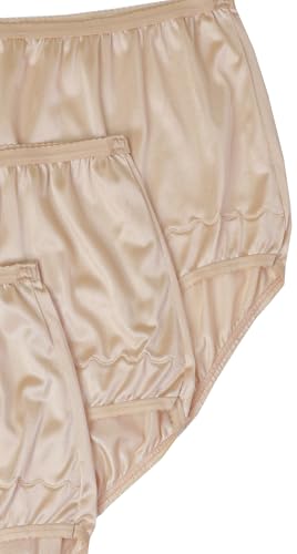 Image of Dixie Belle Women's Underwear Nylon Brief High Waist Scallop Trim 3-Pack 719