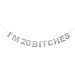 I'm 20 Silver Glitter Birthday Banner Perfect for Funny 20th Birthday Gift Twenty Years Old Bday Party Decorations