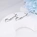 Sterling Silver Dangle Studs CZ Earrings Charms Hypoallergenic Fashion Stud Jewelry with Teardrop Cubic Zirconia Dainty Birthday Gift for Women