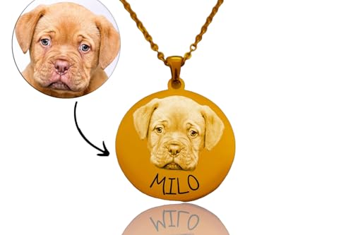 Genérico Coleira personalizada para animais de estimação com fotografia, pendente cão - aço inoxidável gravado a laser - colar comemorativo, presente de proprietário lembrança duradoura, presente