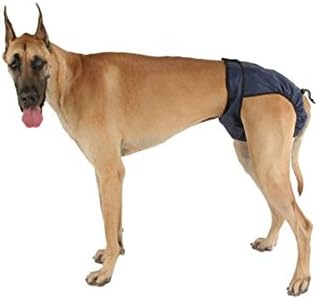dog pilot jacket