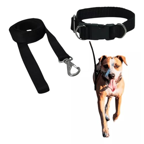 Coleira Com Guia Para Cachorro Pet Grande/médio Resistente (Preto)