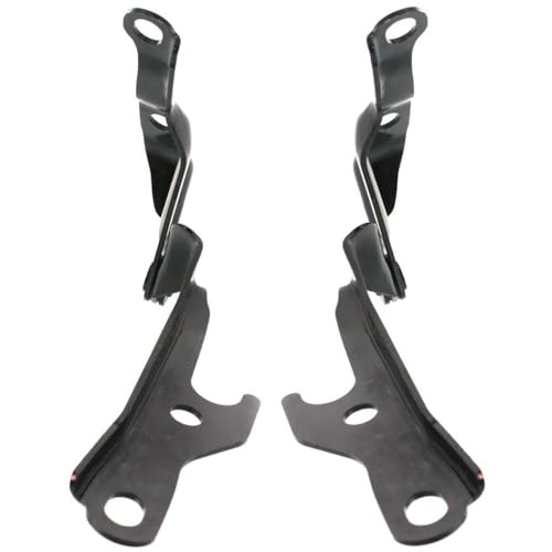 VIRAZE 2pcs Hood Hinges Set Assembly Left Driver and Right Passenger Side Pair 14910881 5342033010 5341033010