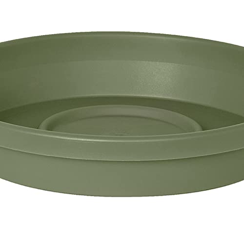 Terratray Liv Green 14" #TOP7