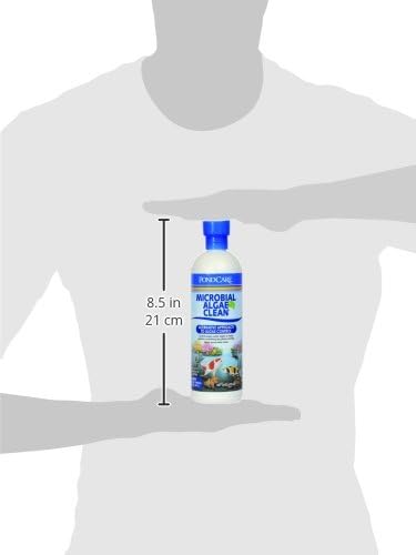 API PondCare 269B Microbial Algae Clean, 16 oz. Bottle