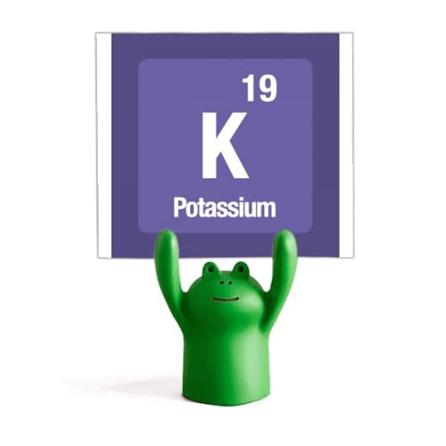 Potassium K mémo holder frog cartoon animal stand décoration de table scientifique