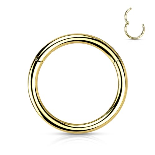 Stachelkleid Clickerring aus Titan 1 6mm Piercing Ring Clicker Universal Piercing für Helix Conch Tragus Septum & Nostril 1 6 x 10 mm Gold