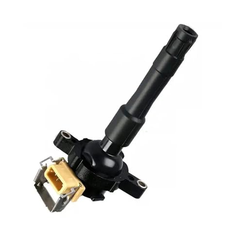 Bobine d'allumage 12131748018 résout les ratés moteur