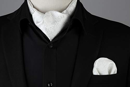 HISDERN Ascot Ties for Men Paisley Floral Ascot and Pocket Square Set Classic Self Tie Mens Cravat Handkerchief for Wedding