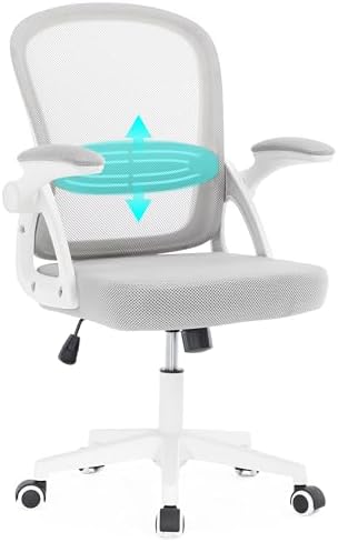 Fizzin Ergonomic Mesh Desk Chair with Lumbar Support Flip Arms, W...