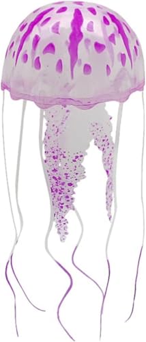 Jowxsx ʔNQ  ANZT[  E t[eBOfR[V   I[ig  NQ  ([Ybh)