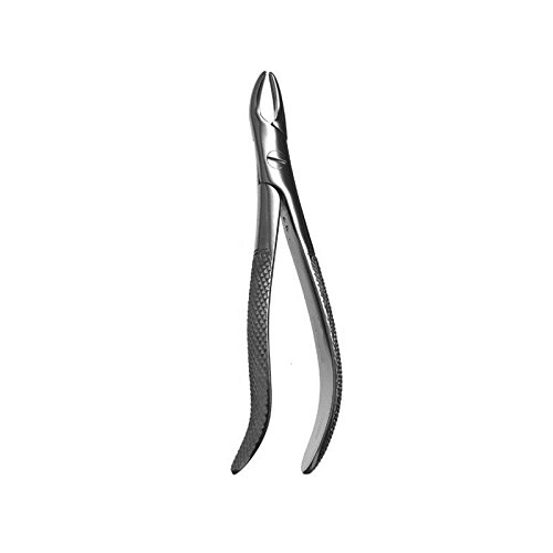 Extracting Forcep English PatternRoots & Mola #76S