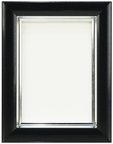 Amazon | 万丈 VANJOH Vカラー肖像額 Lハーフ PBK（ﾊﾟｰﾙﾌﾞﾗｯｸ） 107314