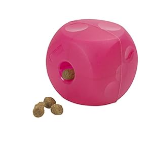 Kruuse Buster Soft Mini Feeder Cube for Dogs Dog Feeder Toy Canine Slow Food Feeder Magenta Red