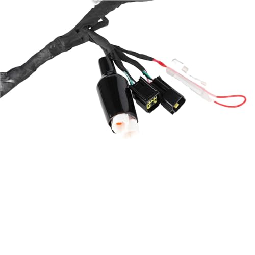 Evita fallos eléctricos en Surron con este arnés de cableado completo Light Bee 4