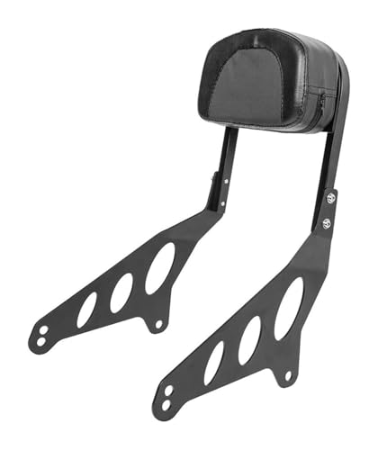 Sissy bar Rebel 1100 avec coussin de porte-bagages moto avant arrière