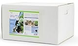Aquascape Frog on Reed Fountain Spitter with Pump for Pond, Garden and Water Features | 78211