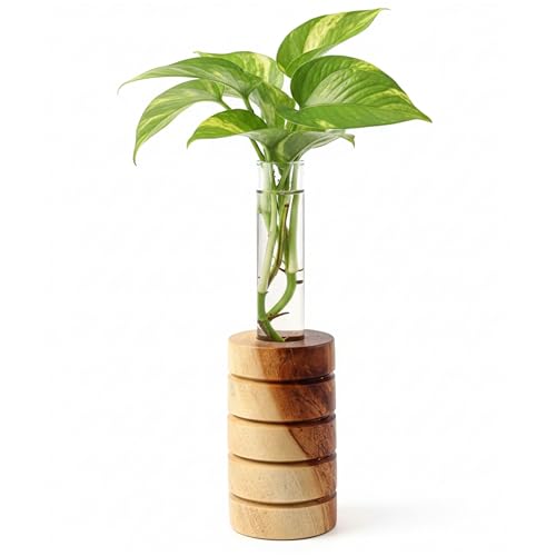 Image of Pilwal's Grooved Wooden Test Tube Vase | Big Test Tube Design for Cuttings & Hydroponics | Minimalist Wooden Planter | Modern Flower Stand | Unique Home Office Decor Gift. (Grooved Design)
