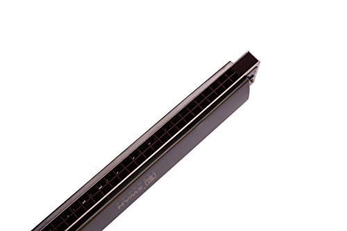 Swan Harmonica diatonique à 28 trous en Do avec harmonicas standard pour adultes, joueurs professionnels, débutants et… - Les Beatles, Paul McCartney, John Lennon, RIngo Starr, George Harrison Swan Harmonica diatonique à 28 trous en Do avec harmonicas standard pour adultes, joueurs professionnels, débutants et… – Image 6