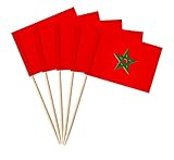 stidsds 100 Pcs Morocco Flag Morocco Toothpick Flags Mini Small Moroccans Cupcake Toppers Stick Flags Banner Party Cocktail Fruit Decoration