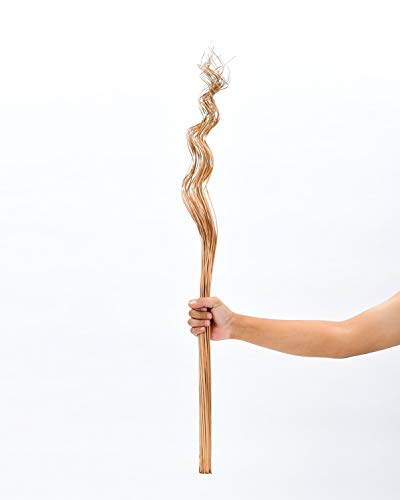 Image of Leewadee Tall Vase Filler, Wavy Palm Leaves - 2 Bunches of Colored Curly Twigs for Floor Vases, Dried Arrangements for for Vintage Or Modern House Decor, 39 inches, Ecru