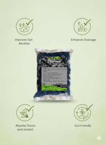 Image of Horticultural Charcoal for Potting Orchid /Succulent /Adenium /Terrarium, Ornamental Plants | Charcoal for Growing and Gardening Plants (2 KG)
