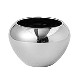 IOEDHW Moderner, einfacher 7,8-Zoll-Keramik-Pflanzgefäß, Silberne, apfelförmige kleine Pflanzvase, grüner Pflanzenbehälter, Keramik-Pflanztopf mit Ablaufloch für Innen- und Außenpflanzen, Heim