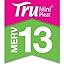 MERV 13 Tru Mini Pleat